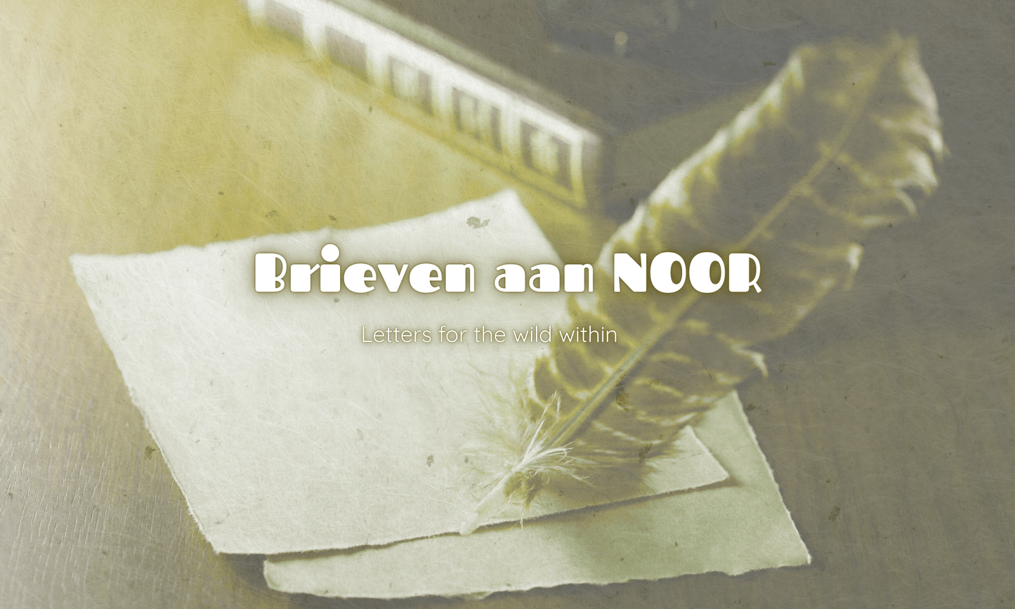 briefpapier met veer voor Brieven aan NOOR