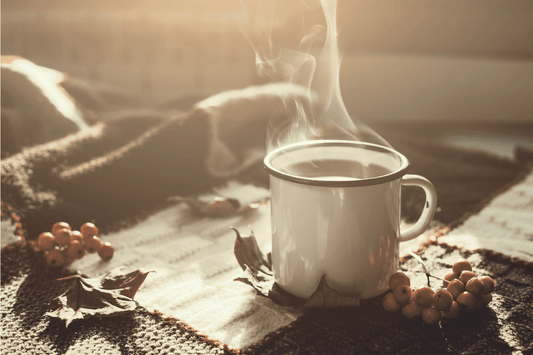 Een eigen plek, zonder schuldgevoel - NOOR goes wild