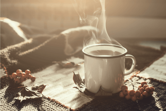 Een eigen plek, zonder schuldgevoel - NOOR goes wild