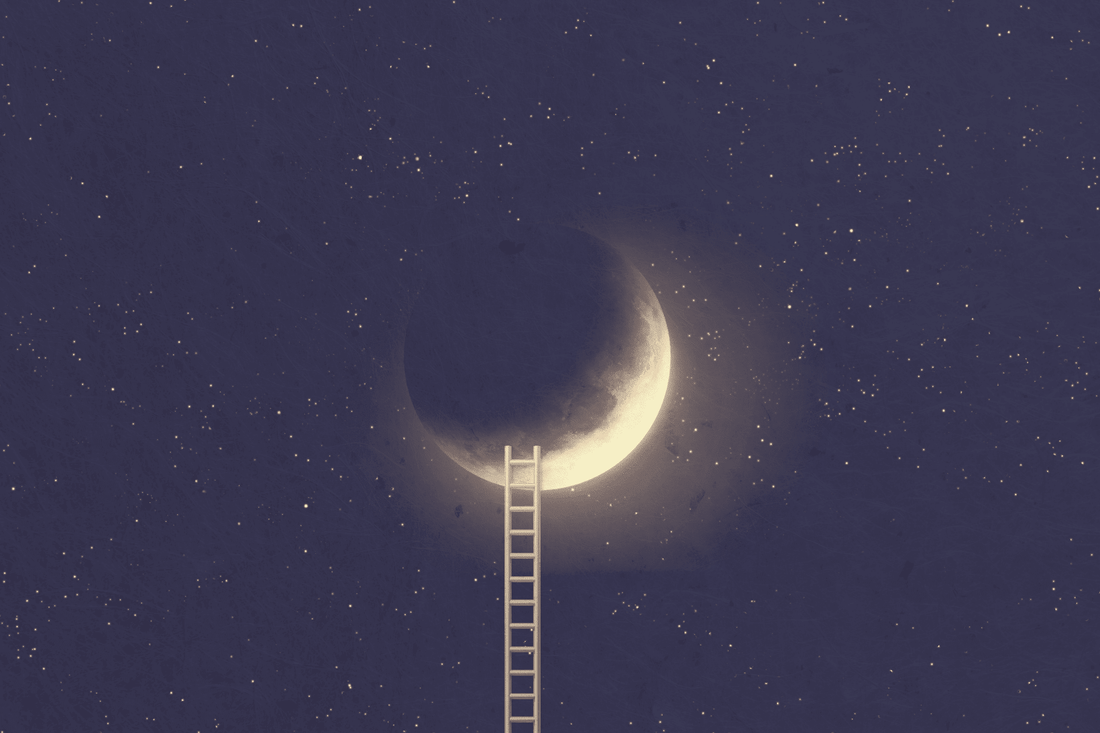 Je hoeft nog niet te weten hoe - NOOR goes wild