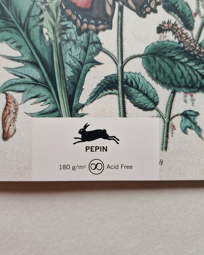 Kunstenaarskleurboek Natural History | PEPIN Press - NOOR goes wild