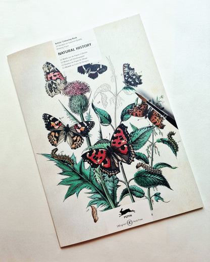 Kunstenaarskleurboek Natural History | PEPIN Press - NOOR goes wild