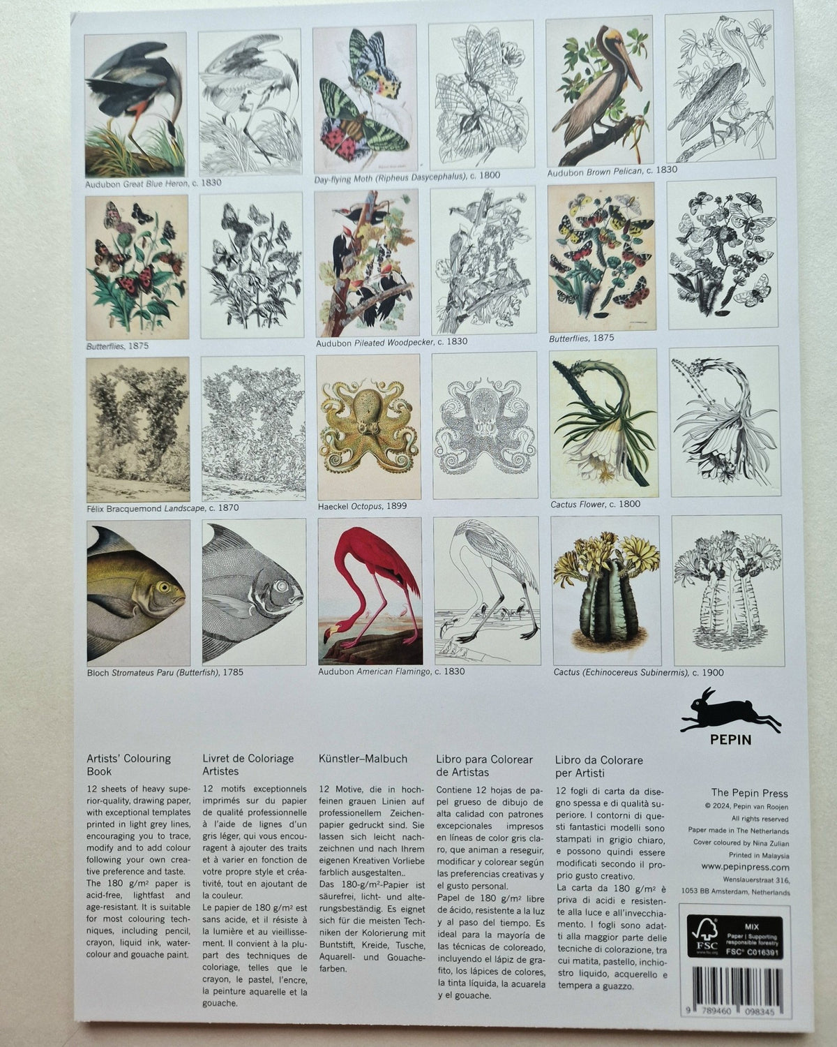 Kunstenaarskleurboek Natural History | PEPIN Press - NOOR goes wild