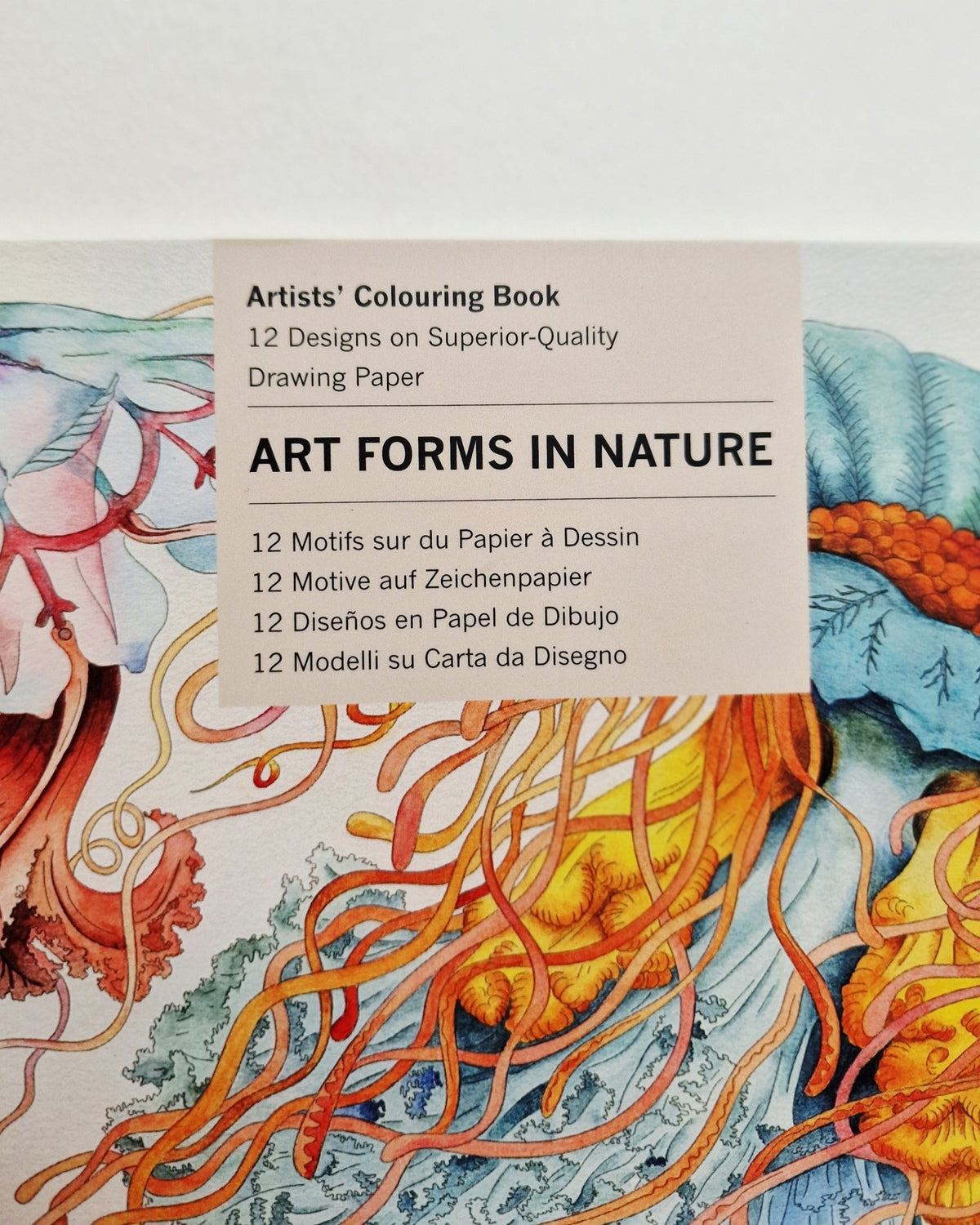 Kunstenaarskleurboek Art Forms in Nature | PEPIN Press - NOOR goes wild