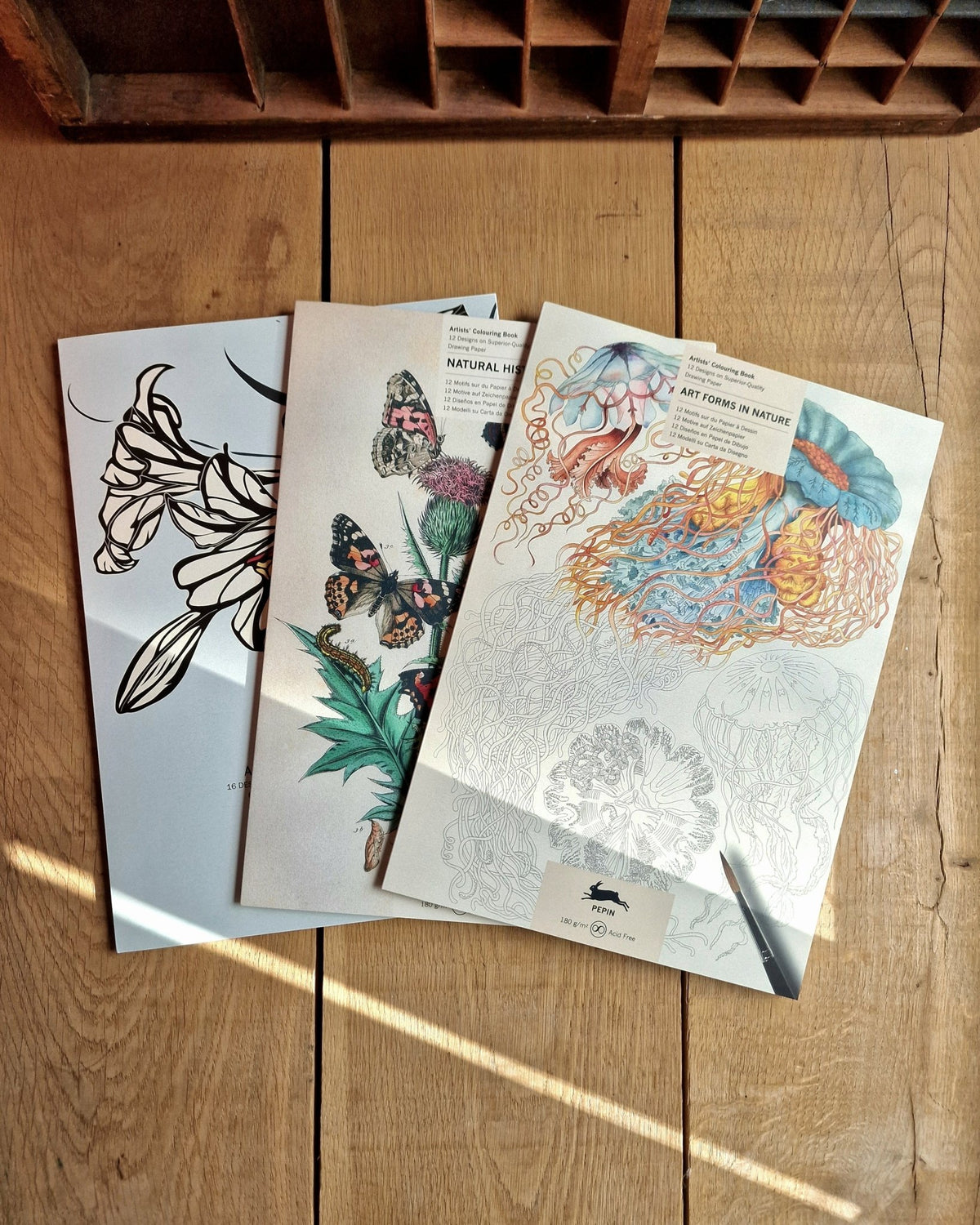 Kunstenaarskleurboek Art Forms in Nature | PEPIN Press - NOOR goes wild