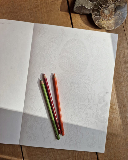 Kunstenaarskleurboek Art Forms in Nature | PEPIN Press - NOOR goes wild