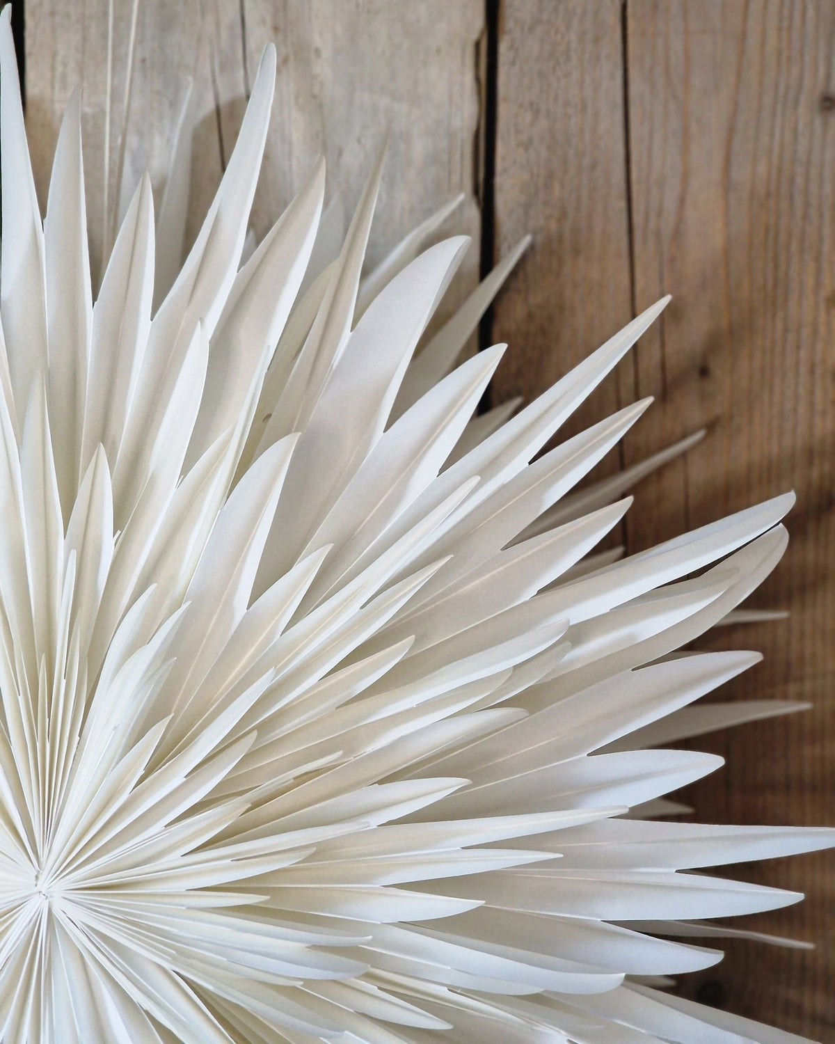 Papieren bloem Dahlia | Wit 60 cm - NOOR goes wild