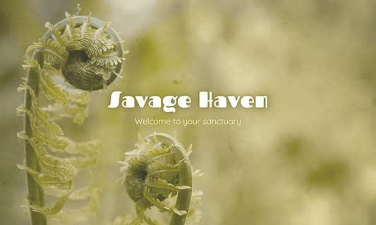 Gekrulde varens, nieuw begin in Savage Haven