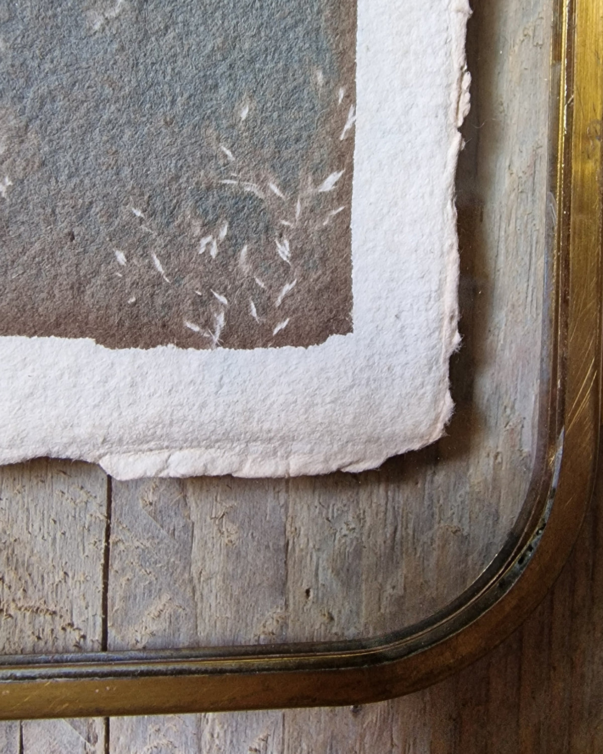 Handgemaakte cyanotype A6 | Schermbloemen met messing lijst - NOOR goes wild