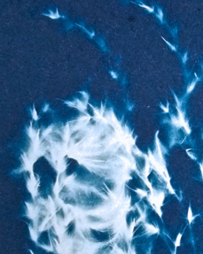 Handgemaakte cyanotype A5 | Grassen