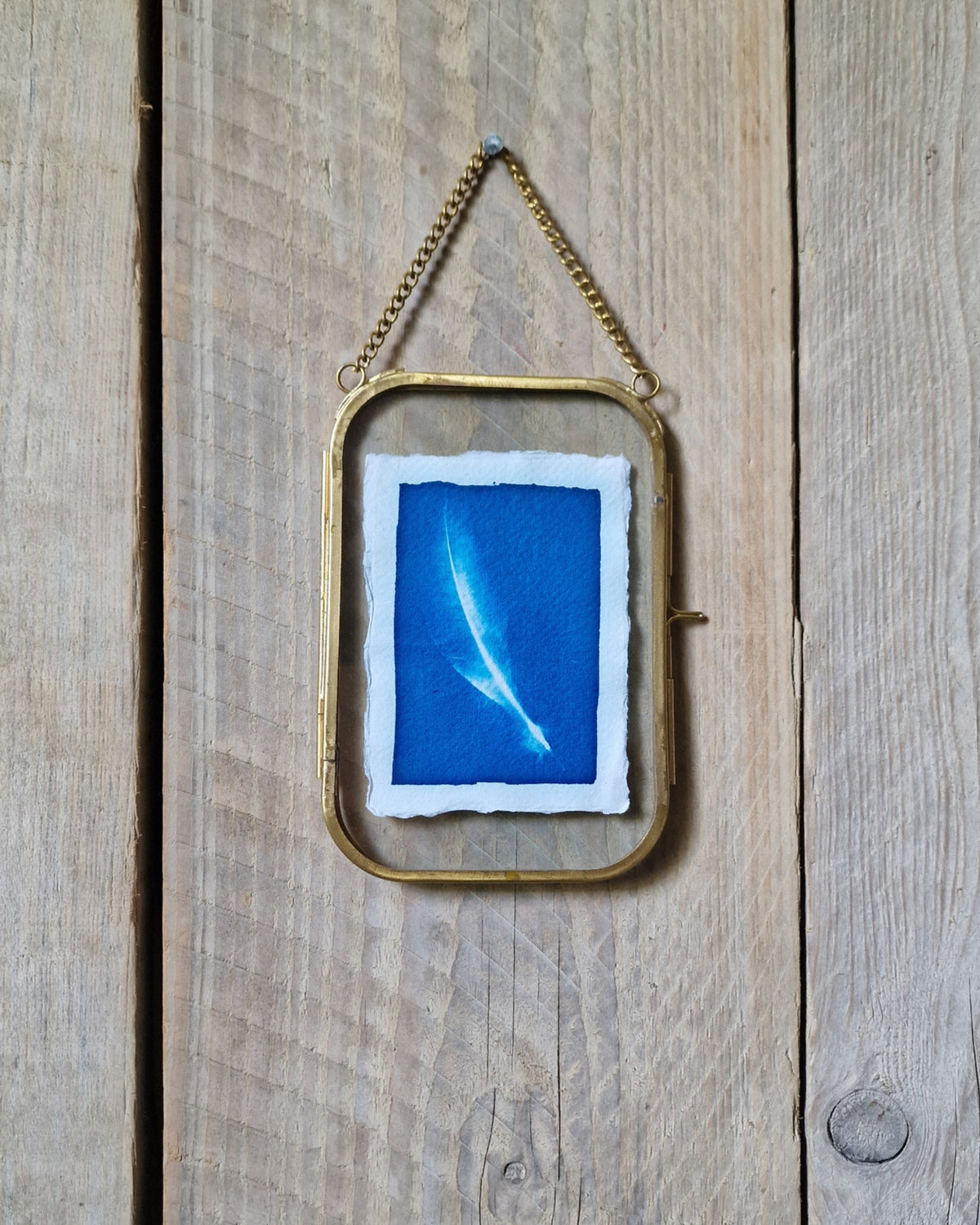 Handgemaakte cyanotype A7 | Veer met messing lijst