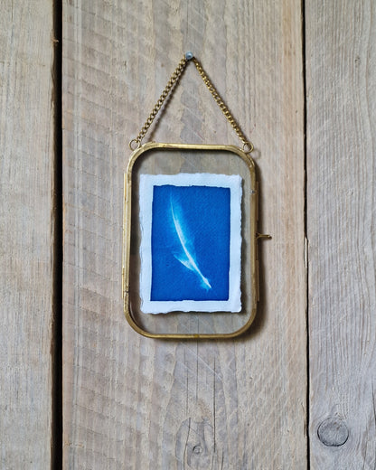 Handgemaakte cyanotype A7 | Veer met messing lijst
