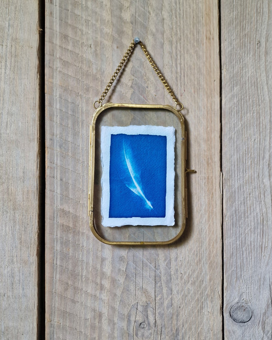 Handgemaakte cyanotype A7 | Veer met messing lijst - NOOR goes wild
