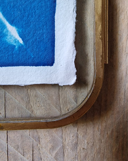 Handgemaakte cyanotype A7 | Veer met messing lijst