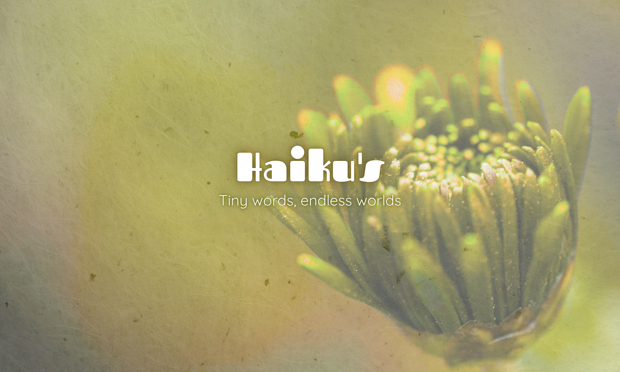 Bloemknop die opent, headerafbeelding voor haiku's