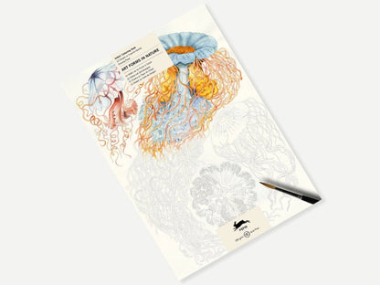 Kunstenaarskleurboek Art Forms in Nature | PEPIN Press - NOOR goes wild