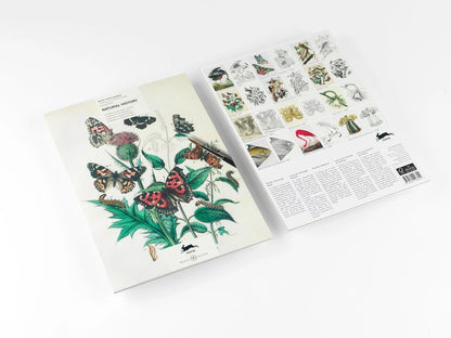Kunstenaarskleurboek Natural History | PEPIN Press - NOOR goes wild