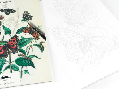Kunstenaarskleurboek Natural History | PEPIN Press - NOOR goes wild