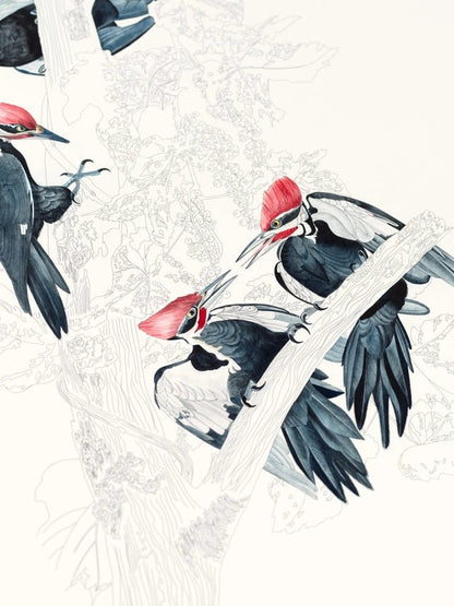 Kunstenaarskleurboek Natural History | PEPIN Press - NOOR goes wild