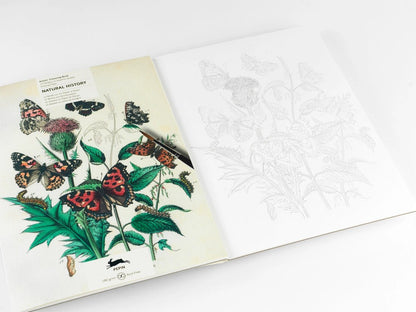 Kunstenaarskleurboek Natural History | PEPIN Press - NOOR goes wild
