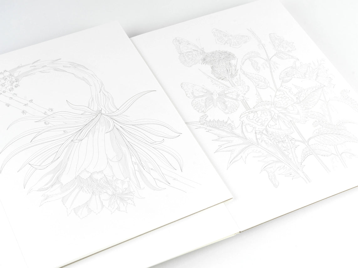 Kunstenaarskleurboek Natural History | PEPIN Press - NOOR goes wild