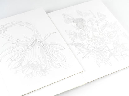 Kunstenaarskleurboek Natural History | PEPIN Press - NOOR goes wild