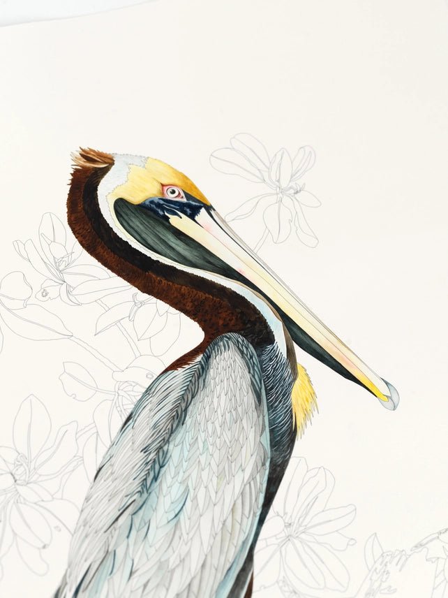 Kunstenaarskleurboek Natural History | PEPIN Press - NOOR goes wild